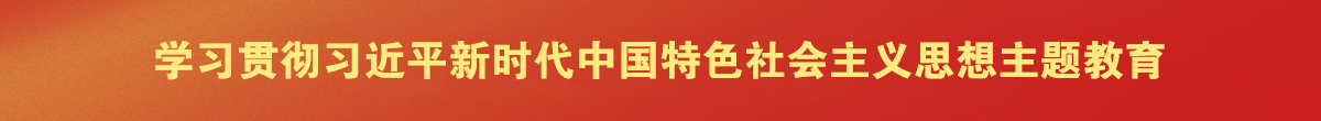 學習貫徹習近平新時代中國特色社會主義思想主題教育